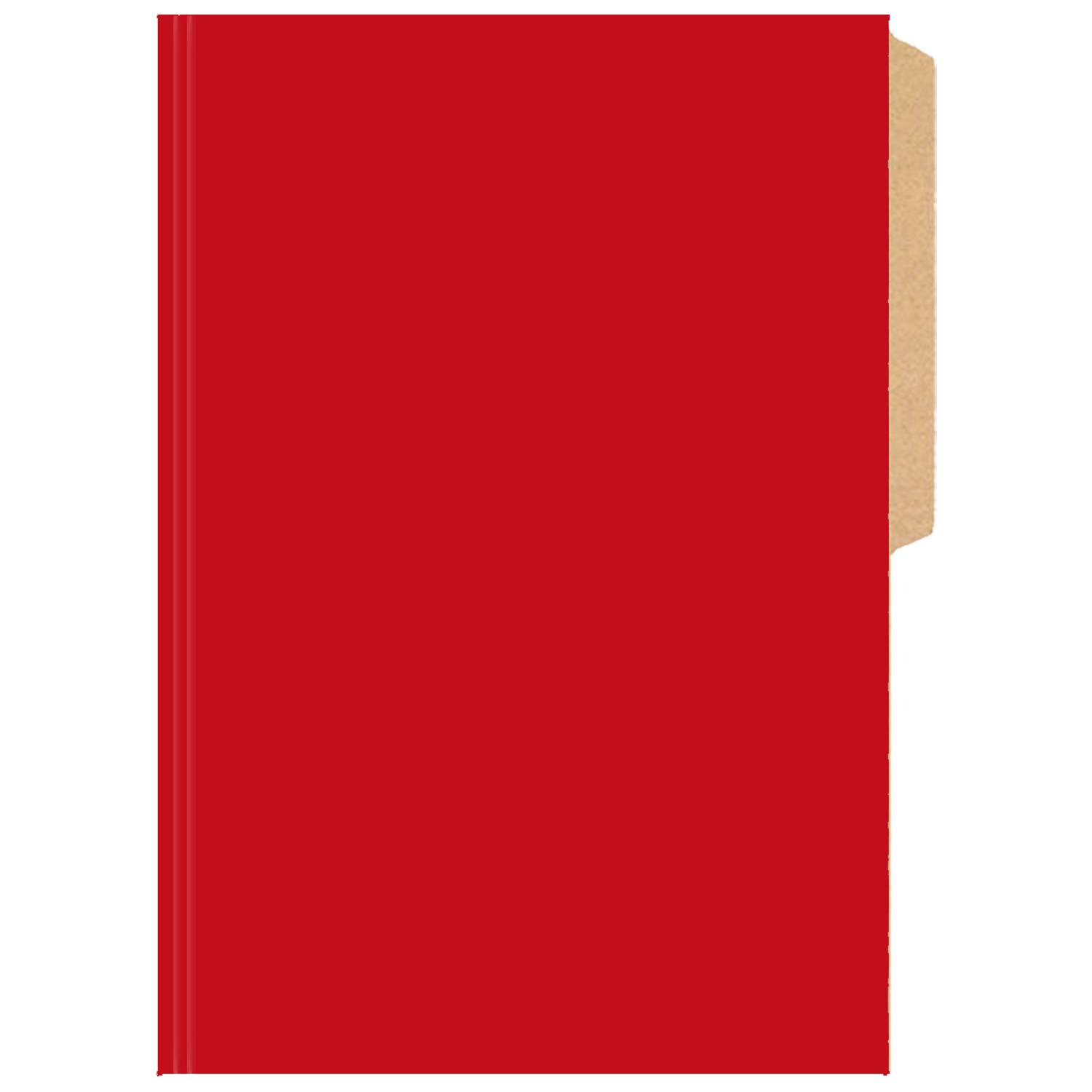 CARPETA PIGMENTADA