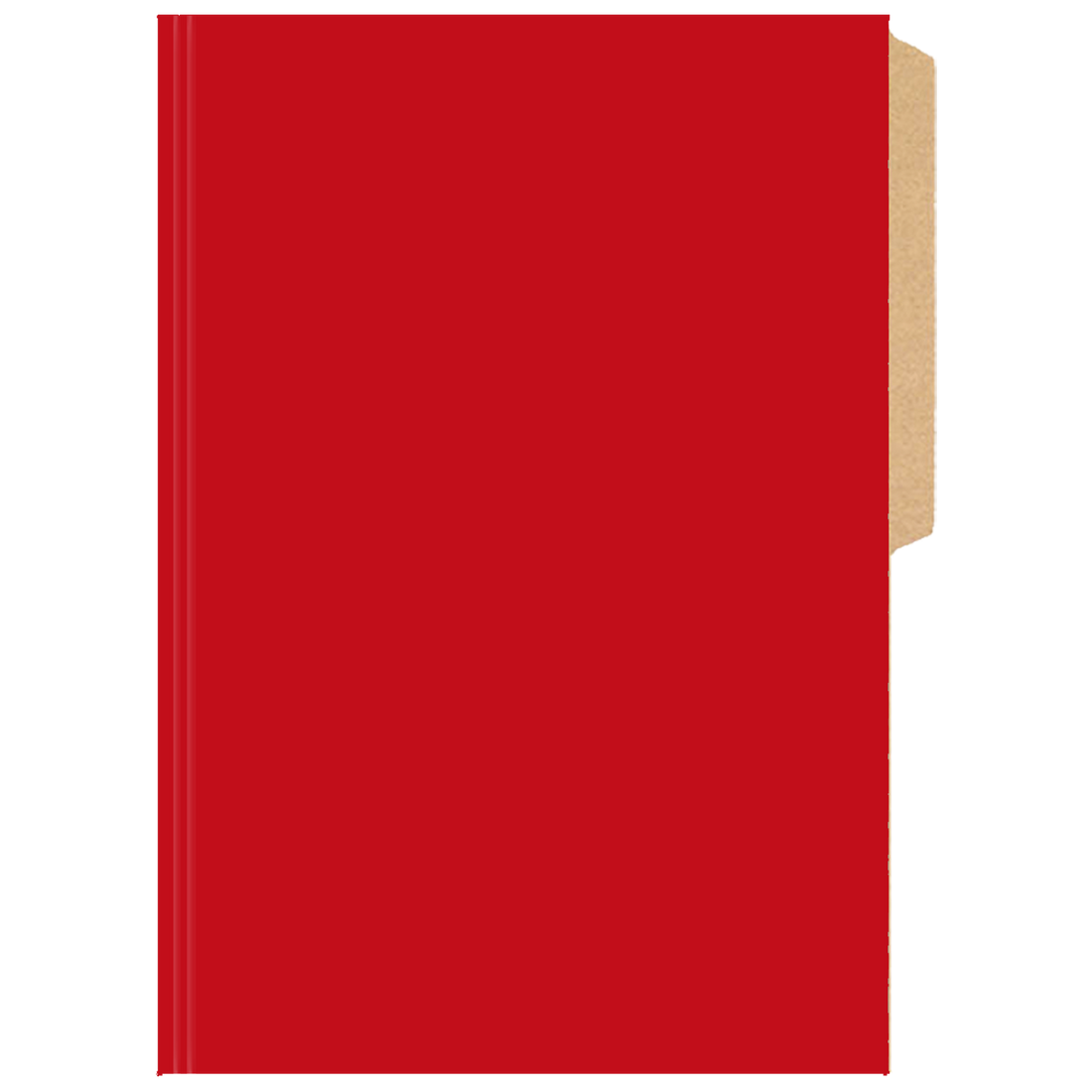 CARPETA PIGMENTADA ROJO